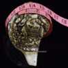 7" Black Mahakala Tibetan Conch Shell Horn, Hand Carved - Measurement