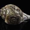 7" Manjushri Tibetan Ceremonial Conch Shell Horn, Hand Carved in Nepal - Left